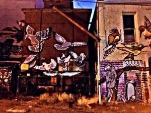 Bird Alley in downtown Bellingham