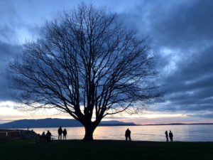 Bellingham Bay at Sunset