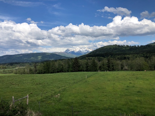 Twin sisters mountains